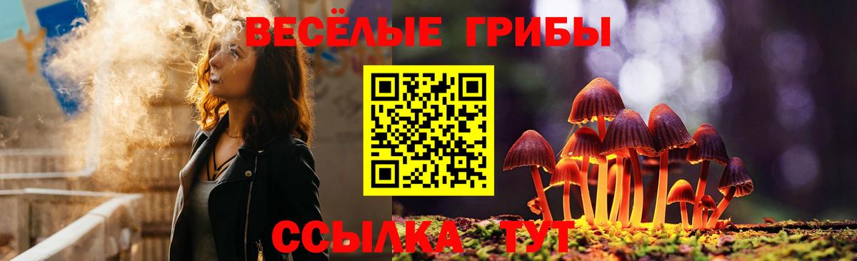 Вольск  Галлюциногенные грибы GOLDEN TEACHER  Вход с VPN 